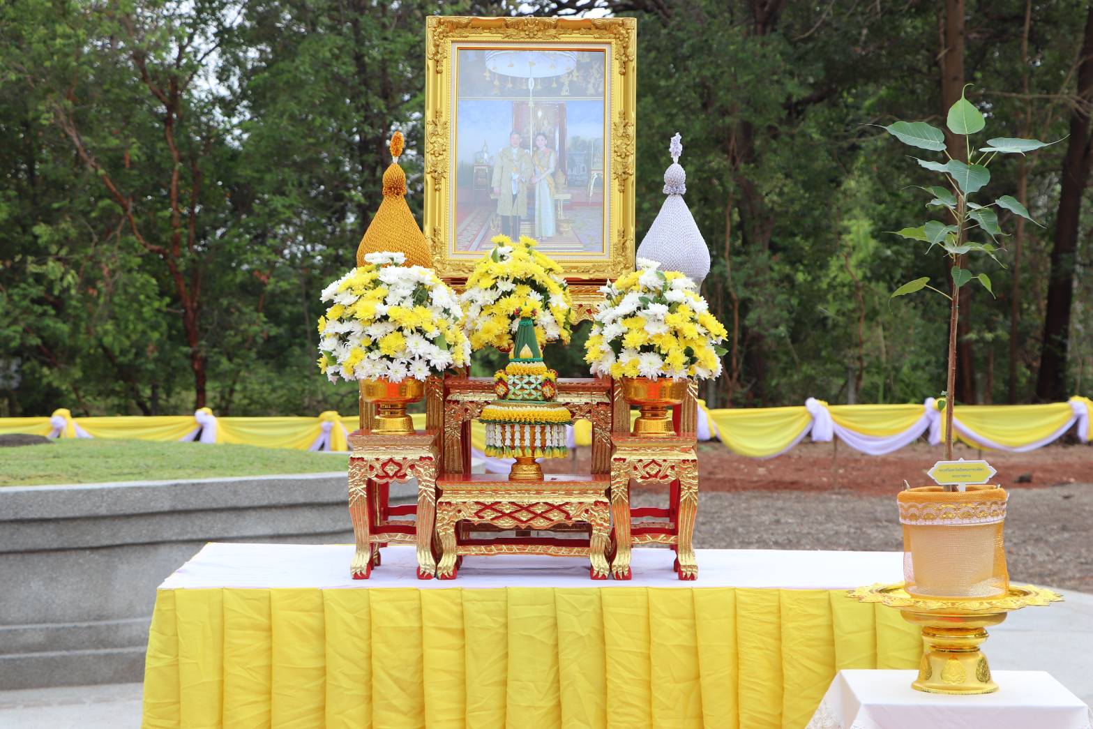 พช.นครพนม ร่วมพิธีปลูก “พระศรีมหาโพธิทศมราชบพิตร” พร้อมกัน 77 จังหวัดทั่วประเทศ